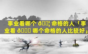 事业看哪个 🐦 命格的人「事业看 💐 哪个命格的人比较好」